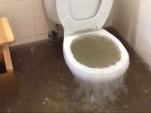 McMahon's bathroom that night