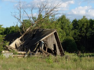 5081762595_c64dea1926_z