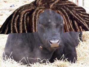 Peter from Pomeroy. 2nd place.