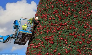 Works has started already