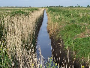 A refreshing ditch in Dregish
