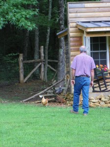 Terence McNeill - Rooster Whisperer