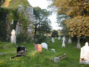 Battered probe lands in Moortown