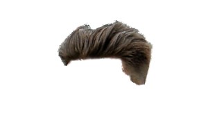 01_10224052_523b5a_2445559a copy