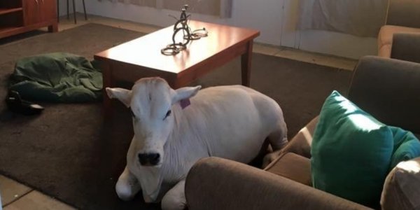 571e4227160000e90031c96d